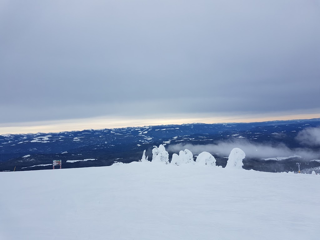 Big White Bc Ambulance Svc | 4900 Lower Snow Pines Rd, Beaverdell, BC V0H 1A0, Canada