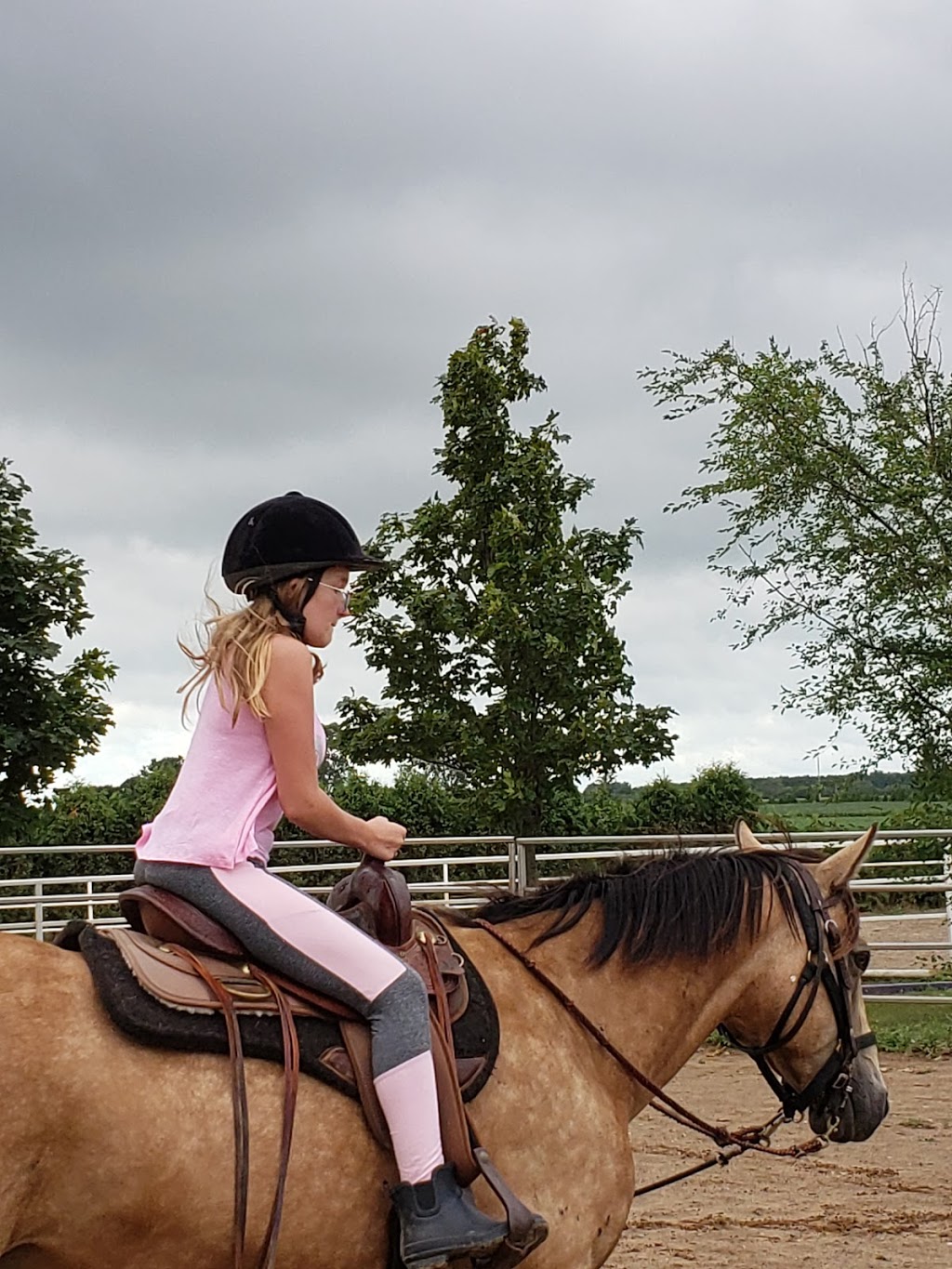 Sarah Parks Horsemanship | 7150 Essex County Rd 20, Amherstburg, ON N9V 0C8, Canada | Phone: (519) 984-4247