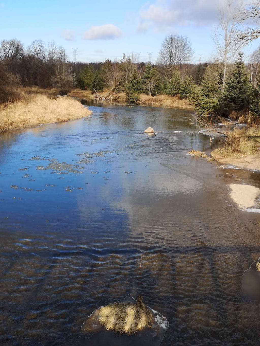 Meadowvale Conservation Area | 1081 Old Derry Rd, Mississauga, ON L5N 6R4, Canada | Phone: (905) 615-4100