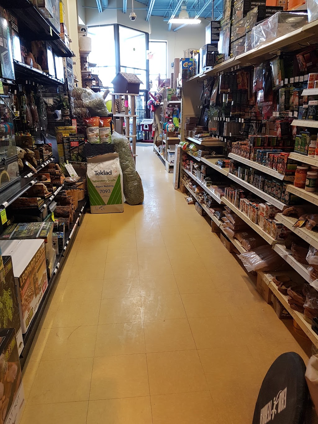 Pattes et Griffes | 1107 Bd du Curé-Labelle #101, Blainville, QC J7C 2N2, Canada | Phone: (450) 437-3720