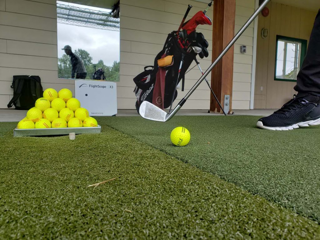 GoGo Golf Academy | 5228 King George Blvd, Surrey, BC V3S 1A2, Canada | Phone: (778) 994-4666