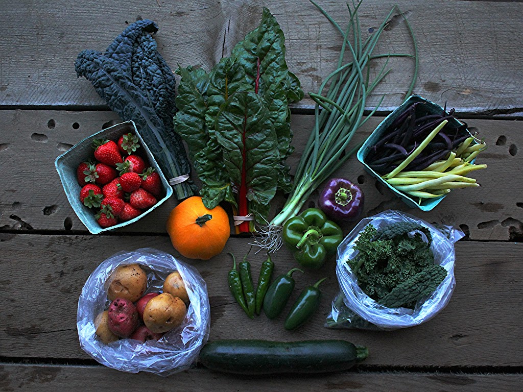 Kehler Vegetable Company | #8083, Black Creek, BC V9J 1G9, Canada | Phone: (250) 202-3236