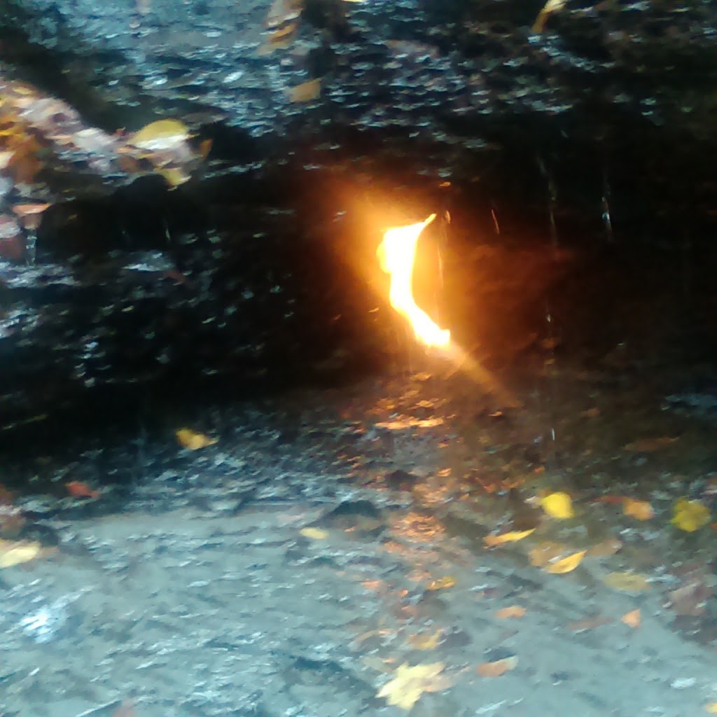 Chestnut Ridge Park Eternal Flame Trail | Chestnut Ridge Rd, Orchard Park, NY 14127, USA