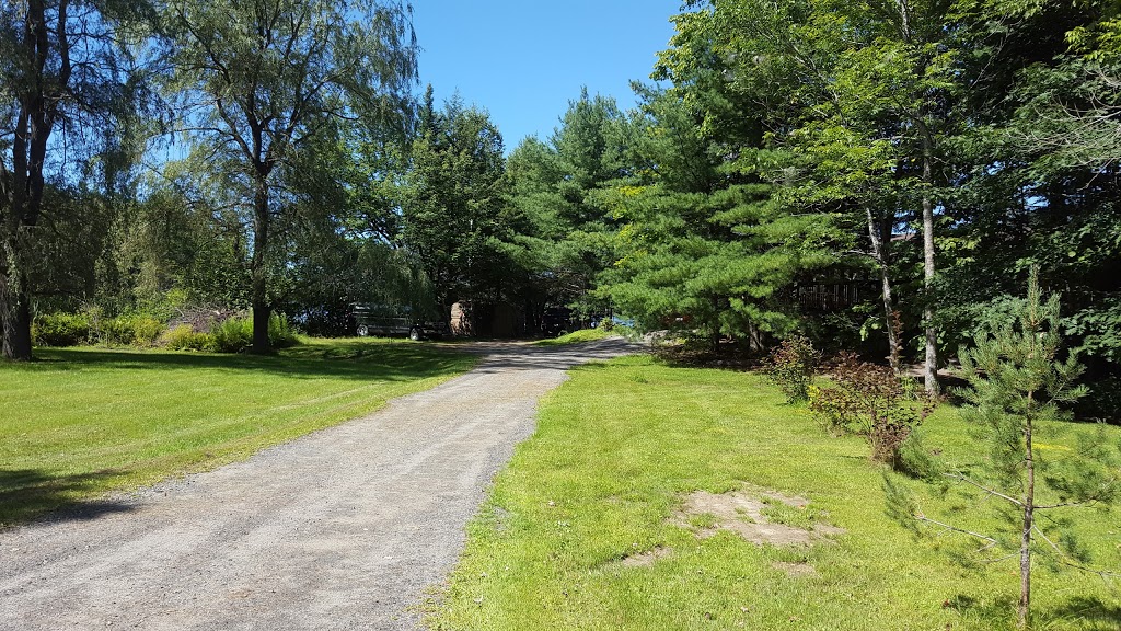 Mariners Cove Ltd | 317 Healey Lake Rd, MacTier, ON P0C 1H0, Canada | Phone: (705) 375-2097