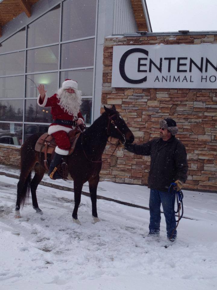 Centennial Animal Hospital | 2747 Pembina Hwy, Winnipeg, MB R3T 2H5, Canada | Phone: (204) 269-8162