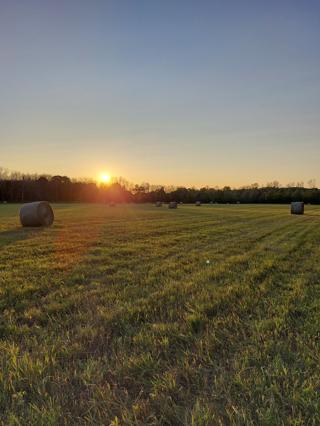 Riding Hood Stables | 129 Blessington Rd, Corbyville, ON K0K 1V0, Canada | Phone: (613) 848-7474
