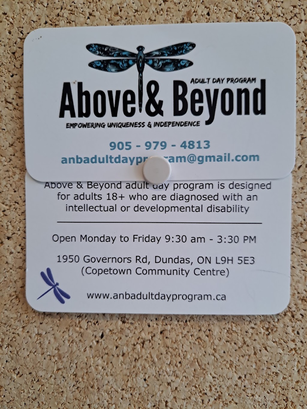 Above & Beyond Adult Day Program | 1950 Governors Rd, Dundas, ON L9H 5E3, Canada | Phone: (905) 979-4813