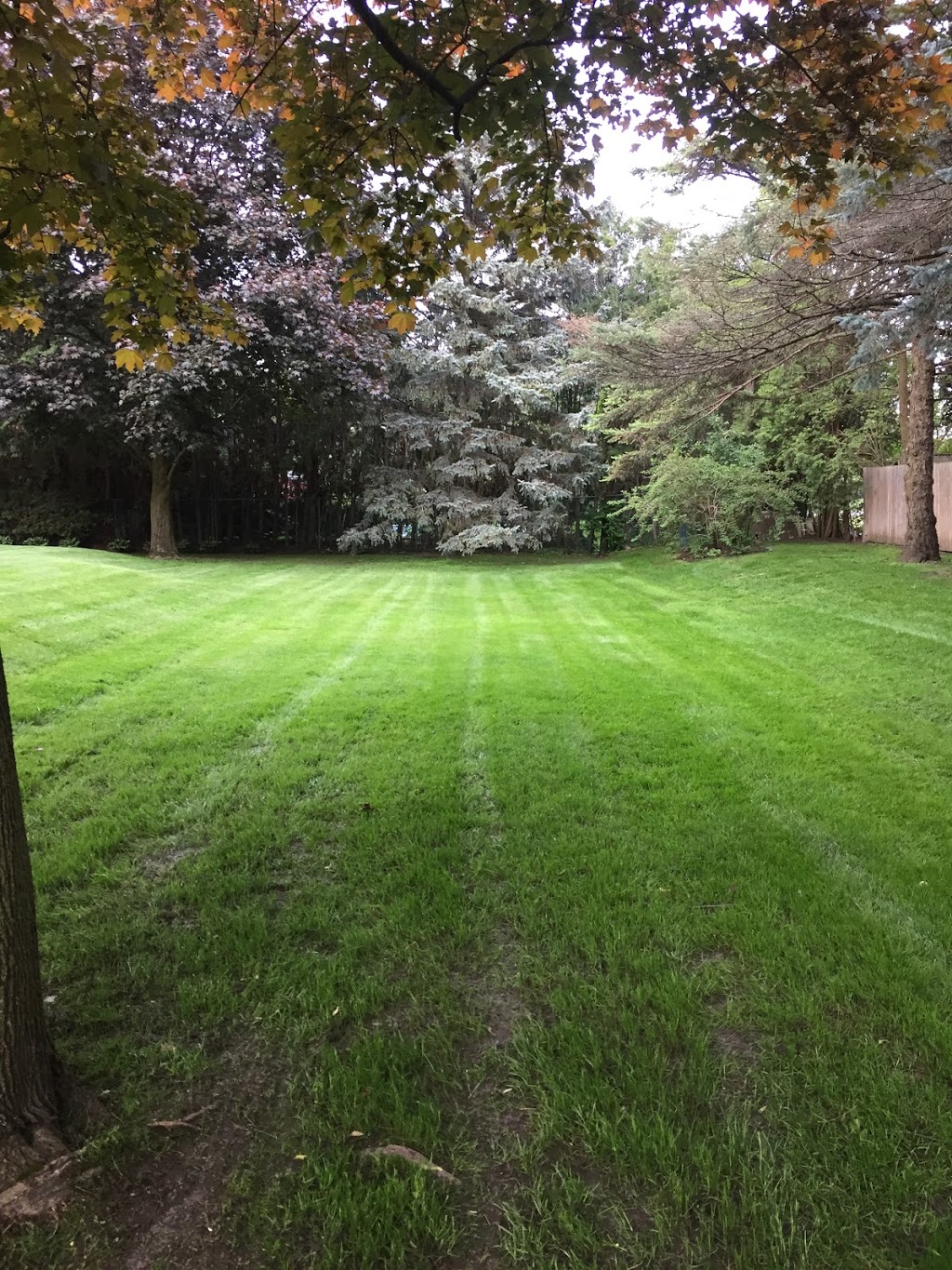 Bayview Glen Park | 48 Limcombe Dr, Markham, ON L3T, Canada