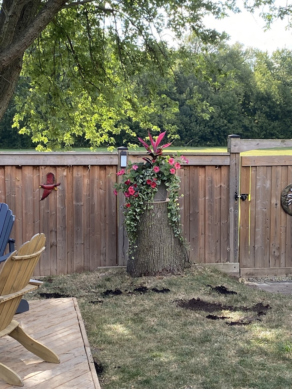 Columbus Tree Services | 20 Columbus Rd W, Oshawa, ON L1G 0G6, Canada | Phone: (416) 670-9851