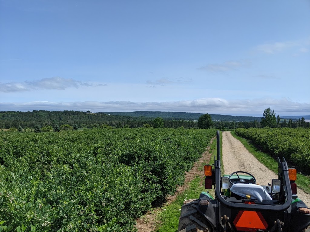 Les Petits Fruits de Pré den Haut | 839 Pré DEn Haut St, Memramcook, NB E4K 1K8, Canada | Phone: (506) 758-0987