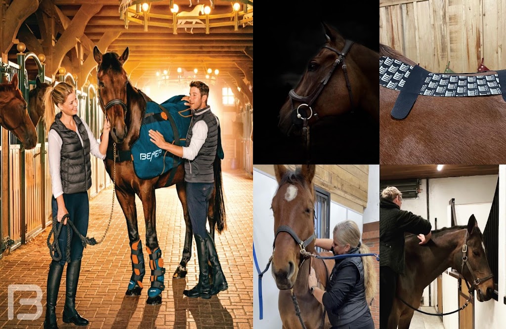 Cristina’s Equine Massage | 545 Cameron Harvey Dr, Ottawa, ON K2K 1X7, Canada | Phone: (613) 220-3239