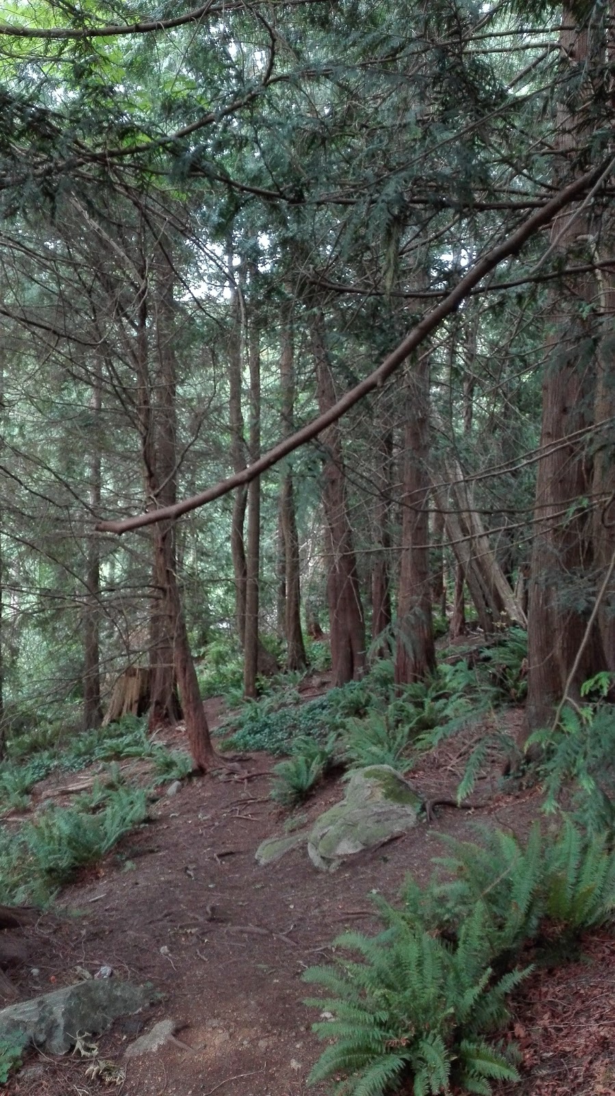 Tantalus Park | 6431 Nelson Ave, West Vancouver, BC V7W 2A5, Canada | Phone: (604) 921-8174