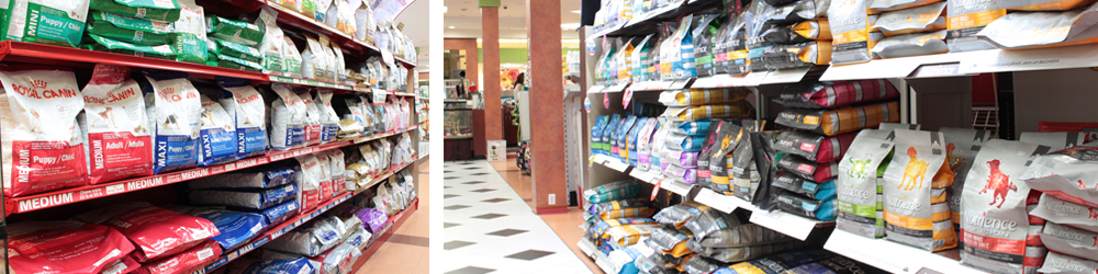 Animonde | 900 Boulevard Grignon, Saint-Jérôme, QC J7Y 3S7, Canada | Phone: (450) 432-4884