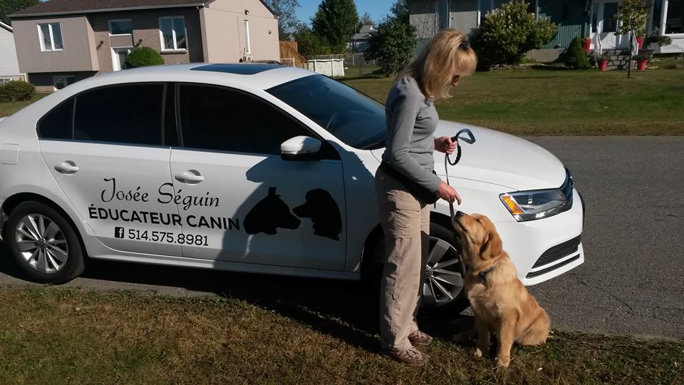 Josée Séguin Éducateur Canin | 625 Côte de Terrebonne, Terrebonne, QC J6Y 1G4, Canada | Phone: (514) 575-8981
