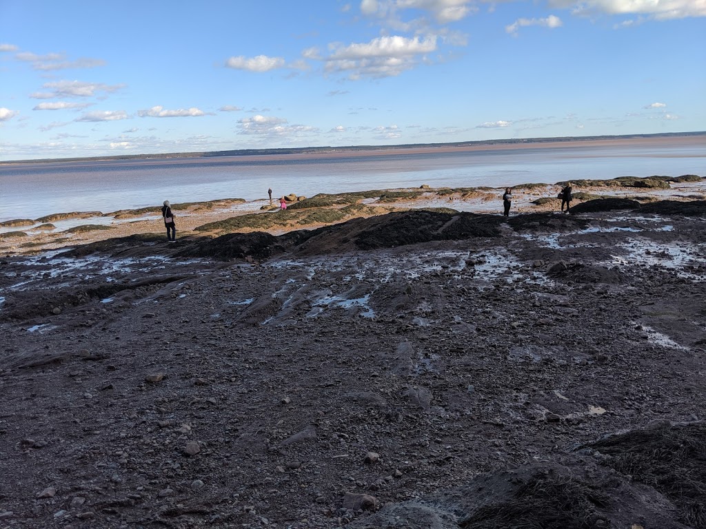 Hopewell Rocks Park | 131ch, Discovery Rd, Hopewell Cape, NB E4H 4Z5, Canada | Phone: (877) 734-3429