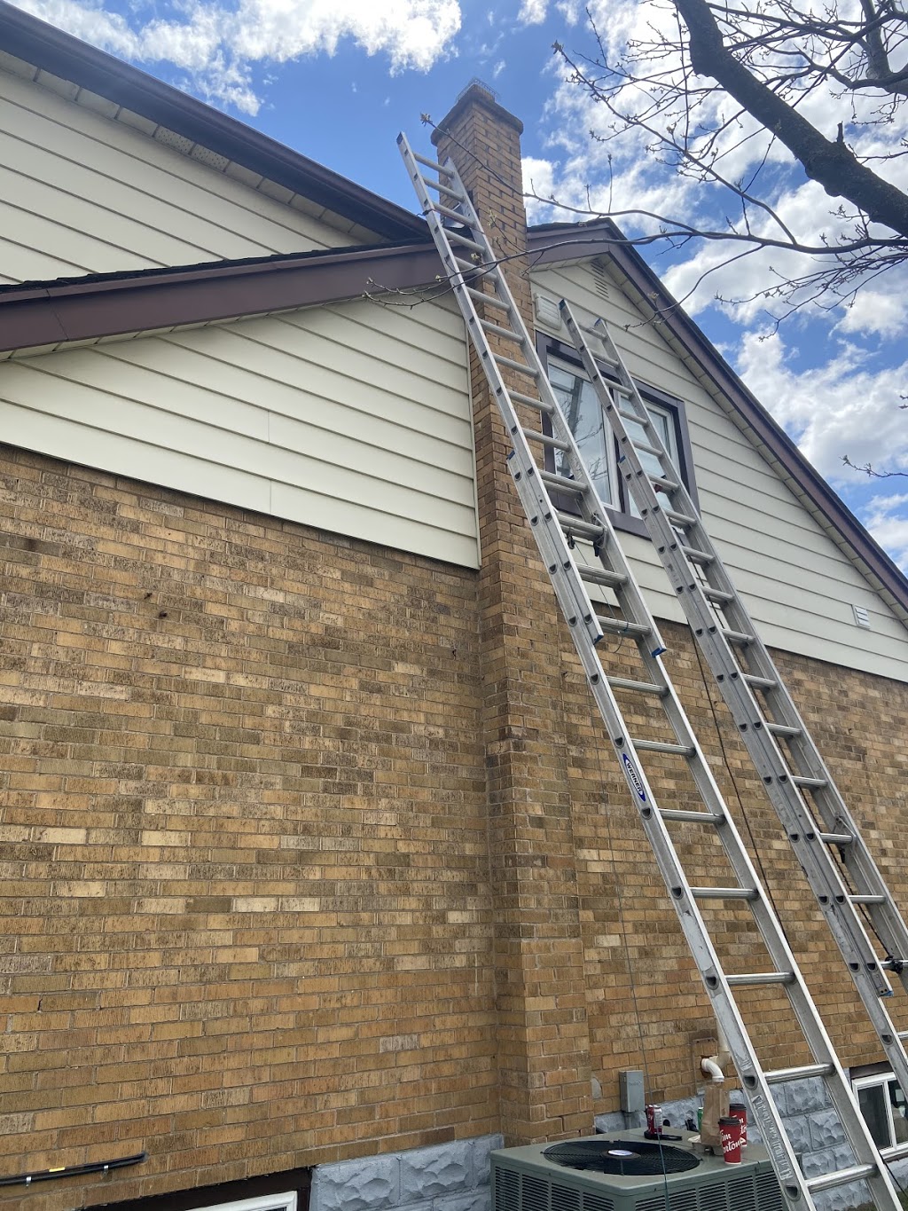 SeeNo Pest Control | 250 Inverness Ave E, Hamilton, ON L9A 1H2, Canada | Phone: (905) 719-1834