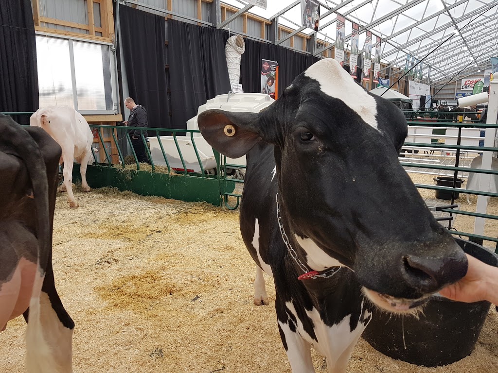 Stratford Fairgrounds | 20 Waddell St, Stratford, ON N5A 6K4, Canada