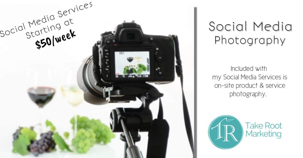 Take Root Marketing | 355 Bligh Rd, Waterville, NS B0P 1V0, Canada | Phone: (902) 680-6671
