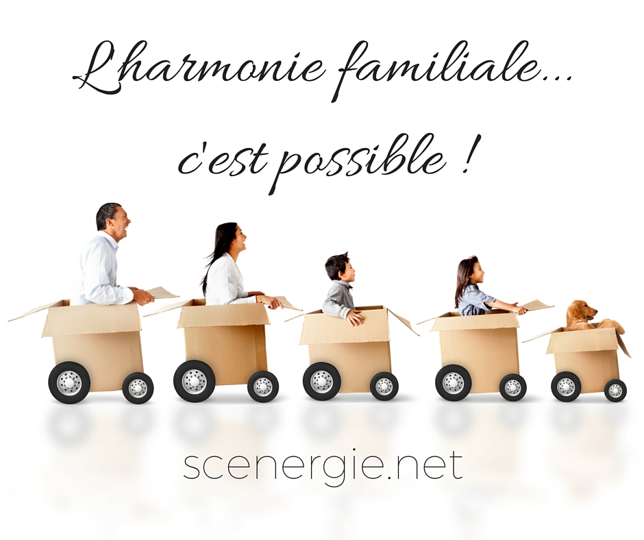 Centre De Consultation Scénergie | 4880 Rue de Lucerne, Pierrefonds, QC H8Y 2E2, Canada | Phone: (514) 331-7031
