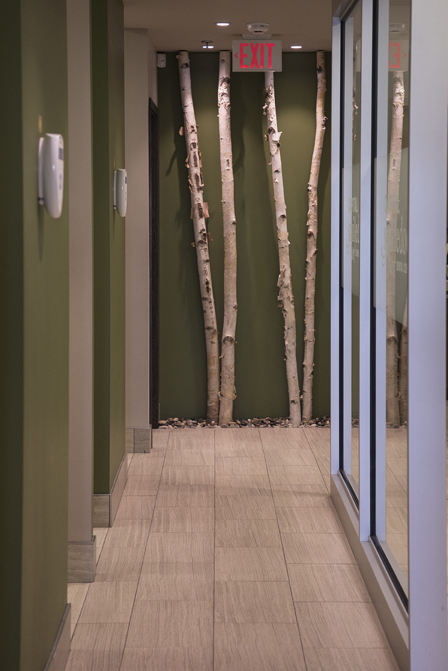 Trillium Dental | 1110 Carp Rd, Stittsville, ON K2S 0T2, Canada | Phone: (613) 831-8000