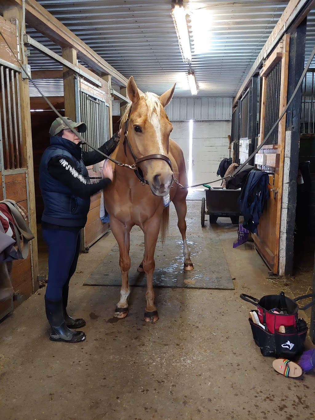 SolidGold Equestrian | 3567 Maple Grove Rd, Bowmanville, ON L1C 3K4, Canada | Phone: (289) 688-7583