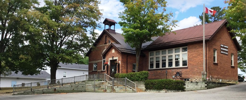Pine Grove Veterinary Hospital | 4351 Burnside Line, Severn, ON L3V 0W1, Canada | Phone: (705) 325-2279