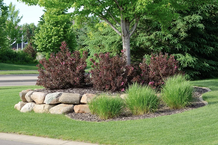 Seasons Consultancy | 1440 Bank St #5, Ottawa, ON K1H 8A7, Canada | Phone: (905) 719-8331