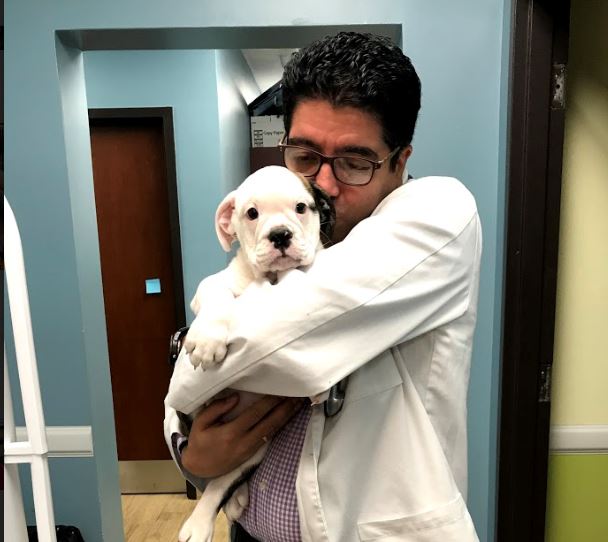 Brittany Glen Animal Hospital | 5602 Tenth Line W Unit 104, Mississauga, ON L5M 7L9, Canada | Phone: (905) 814-1717