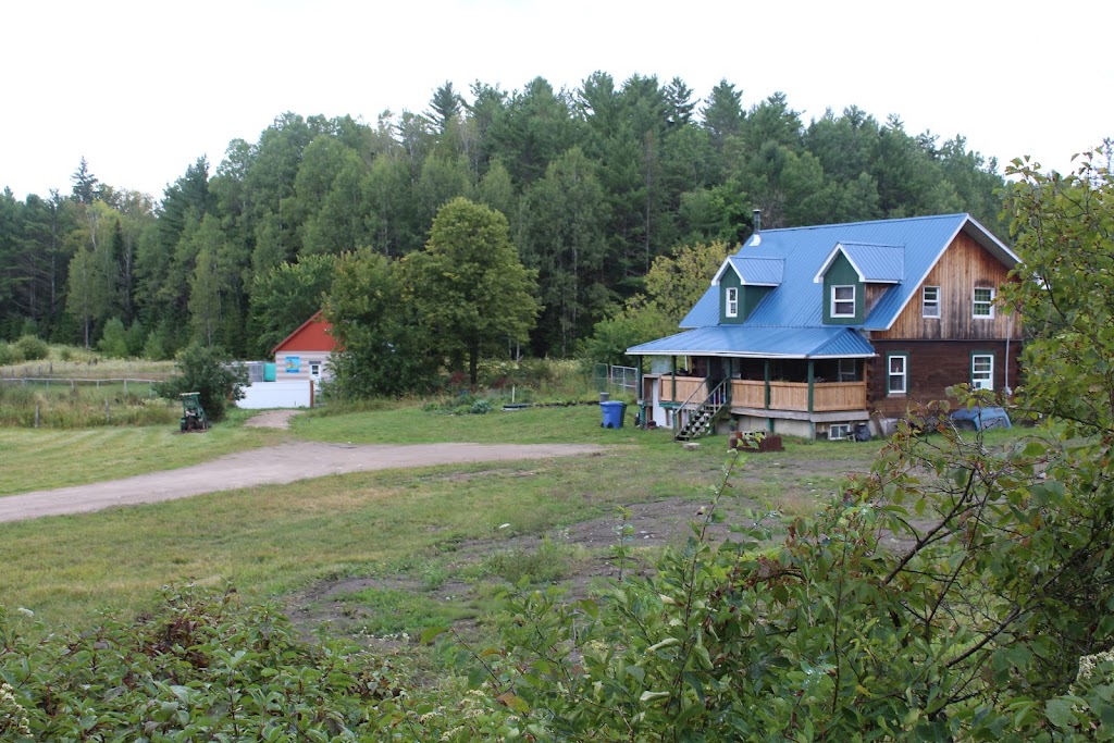 Chenil Sans Souci | 370 Chemin Clark, Wakefield, QC J0X 3G0, Canada | Phone: (819) 459-1711