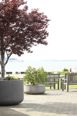Bellingham Family Counseling | 12 Bellwether Way Suite 223 A, Bellingham, WA 98225, USA | Phone: (360) 325-1717