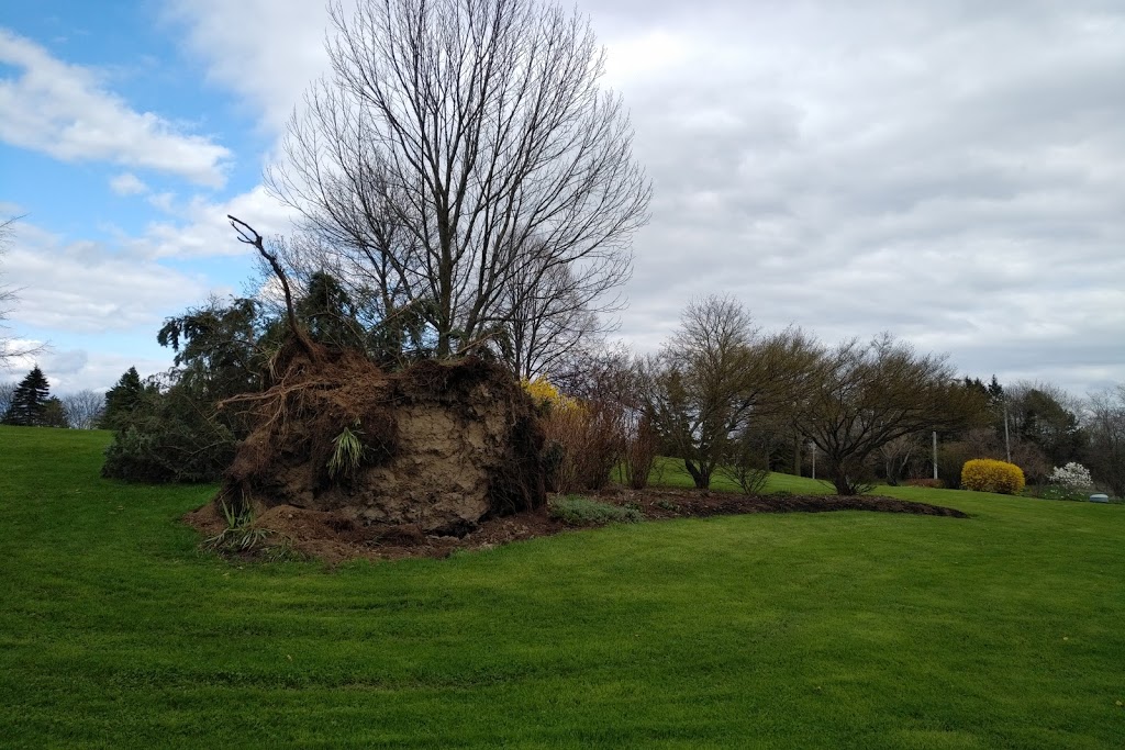 Charlottetown Park | 65 Charlottetown Blvd, Scarborough, ON M1C 3B2, Canada