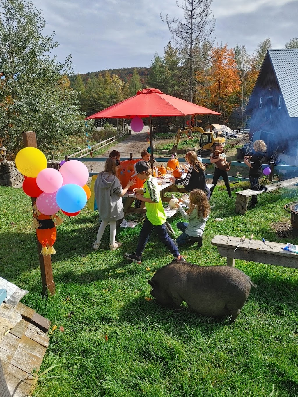 Le Ptit Vallon | 1299 Chem. du Village, Morin-Heights, QC J0R 1H0, Canada | Phone: (450) 602-2383