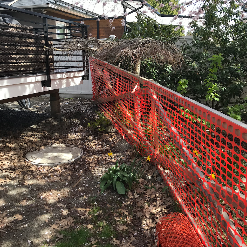Alpine Tree Care | 3191 Pleasant St, Richmond, BC V7E 2P1, Canada | Phone: (604) 834-7586