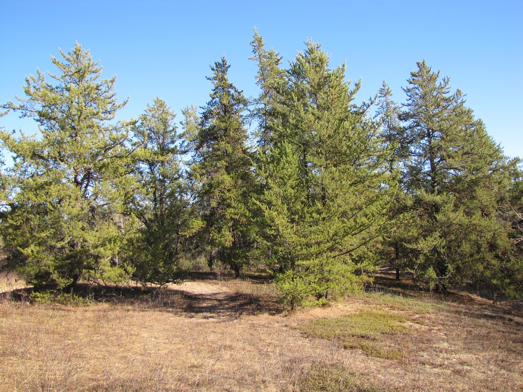 Redwater Provincial Recreation Area | Redwater, AB T0A 2W0, Canada | Phone: (780) 960-8170