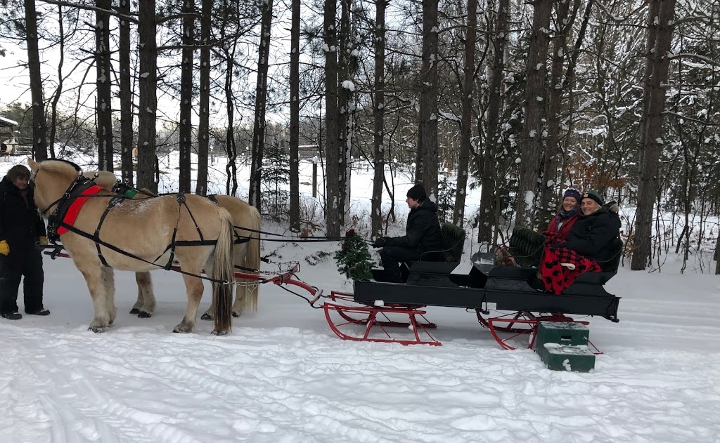Back of Beyond Equine Centre | 2572 Muskoka Road 10, Huntsville, ON P1H 2J3, Canada | Phone: (705) 789-1605
