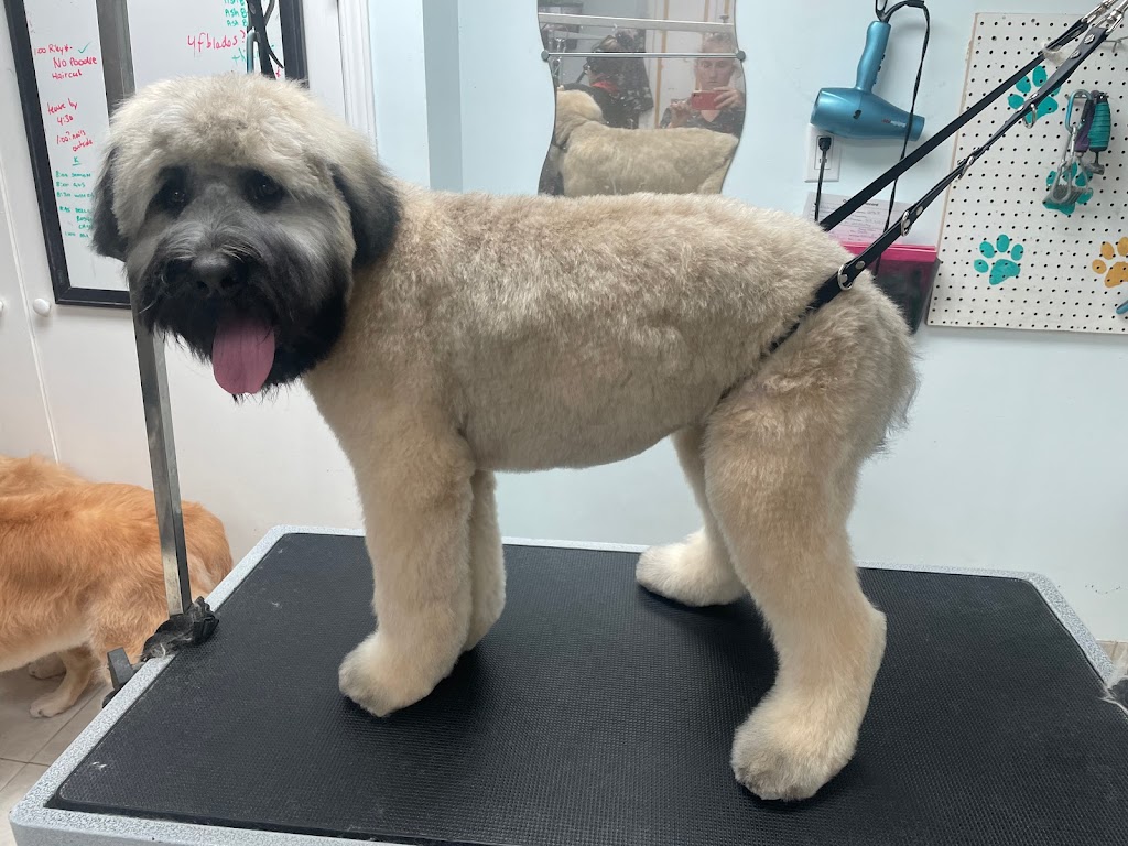 Syd’s Barkin Beauties | 288 Josephine St, Wingham, ON N0G 2W0, Canada | Phone: (519) 722-0916