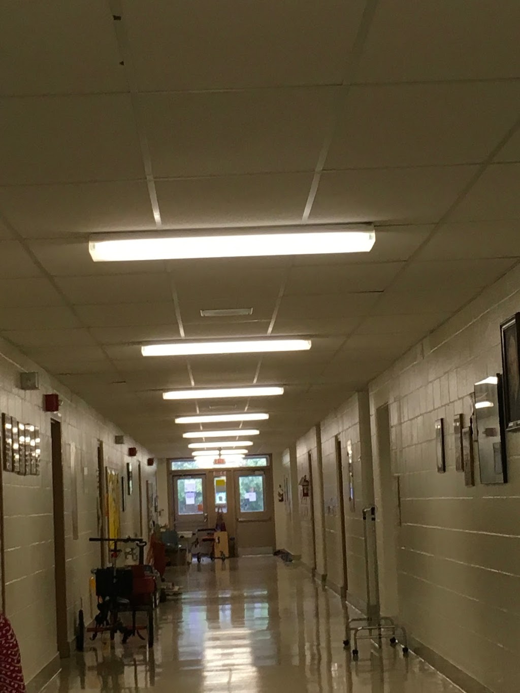 Helen Wilson Public School | 9 Abbey Rd, Brampton, ON L6W 2T7, Canada | Phone: (905) 451-1165