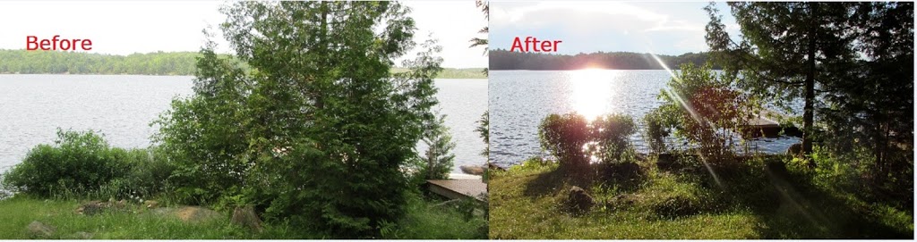 Eco-Choice Pest Control | 1297 Haliburton County Rd 21, Minden, ON K0M 2K0, Canada | Phone: (705) 457-1500