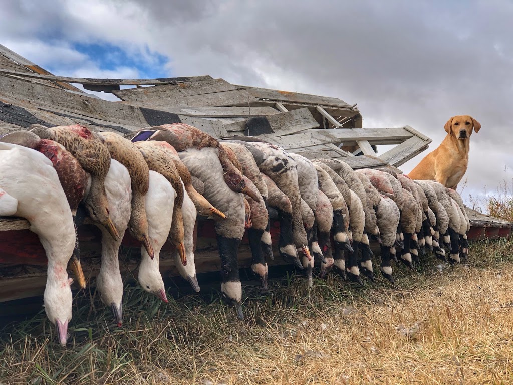 APEX Waterfowling | 2500 Roger Stevens Dr, North Gower, ON K0A 2T0, Canada | Phone: (613) 453-8224