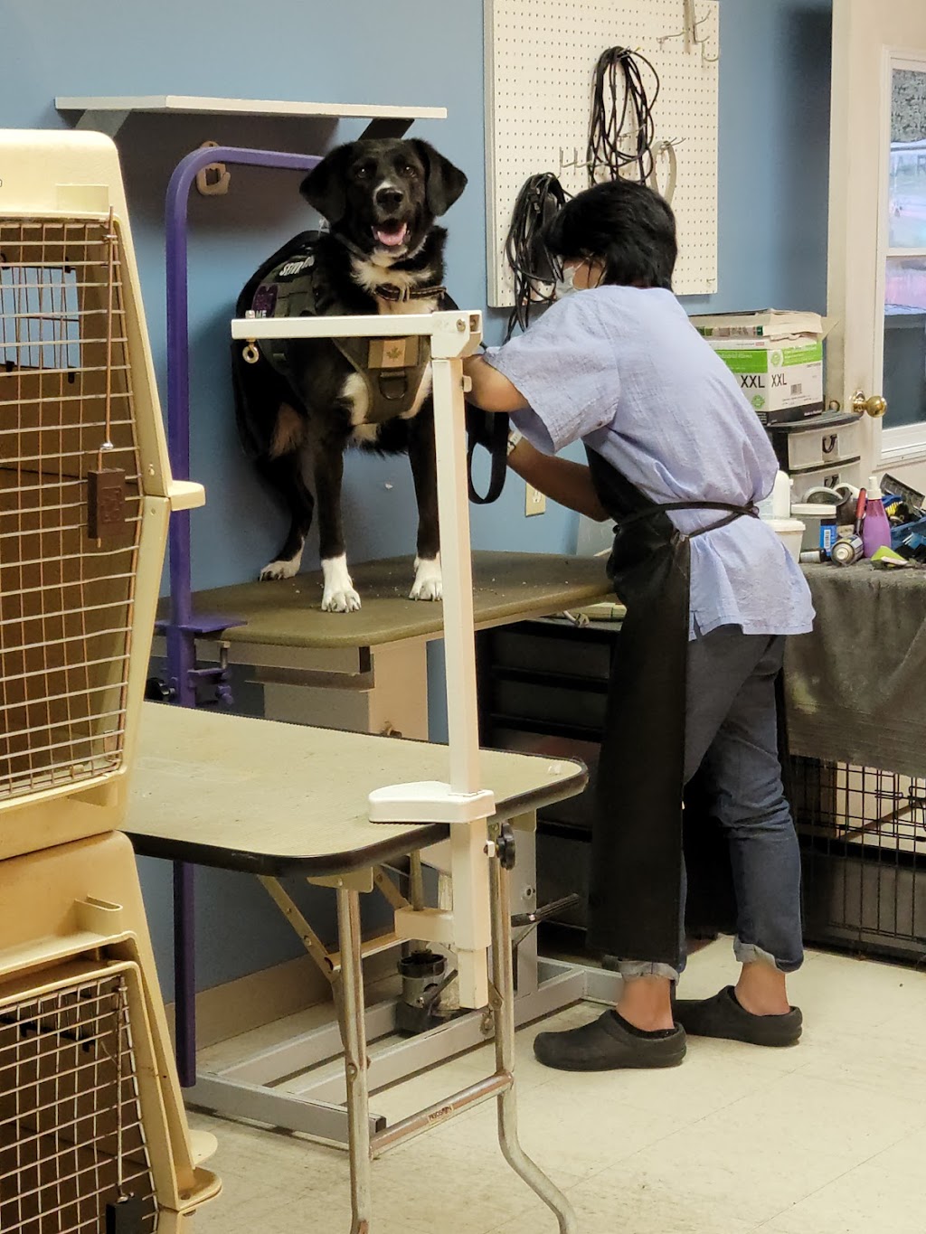 Canine Corral pet Grooming and self service dog wash | 10087 Hidden Valley Dr NW, Calgary, AB T3A 5Z7, Canada | Phone: (403) 295-0600