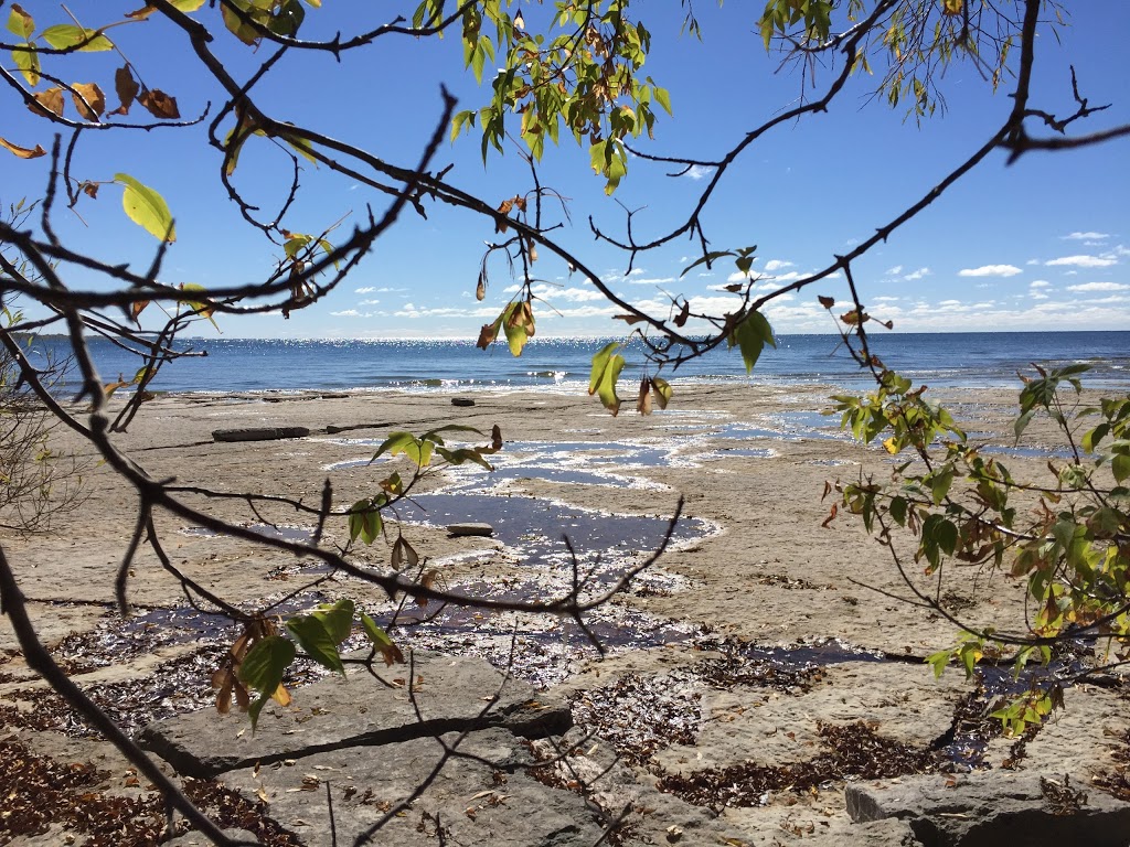 El Dorado Beach Preserve | Grandjean Rd, Henderson, NY 13650, USA | Phone: (315) 387-3600