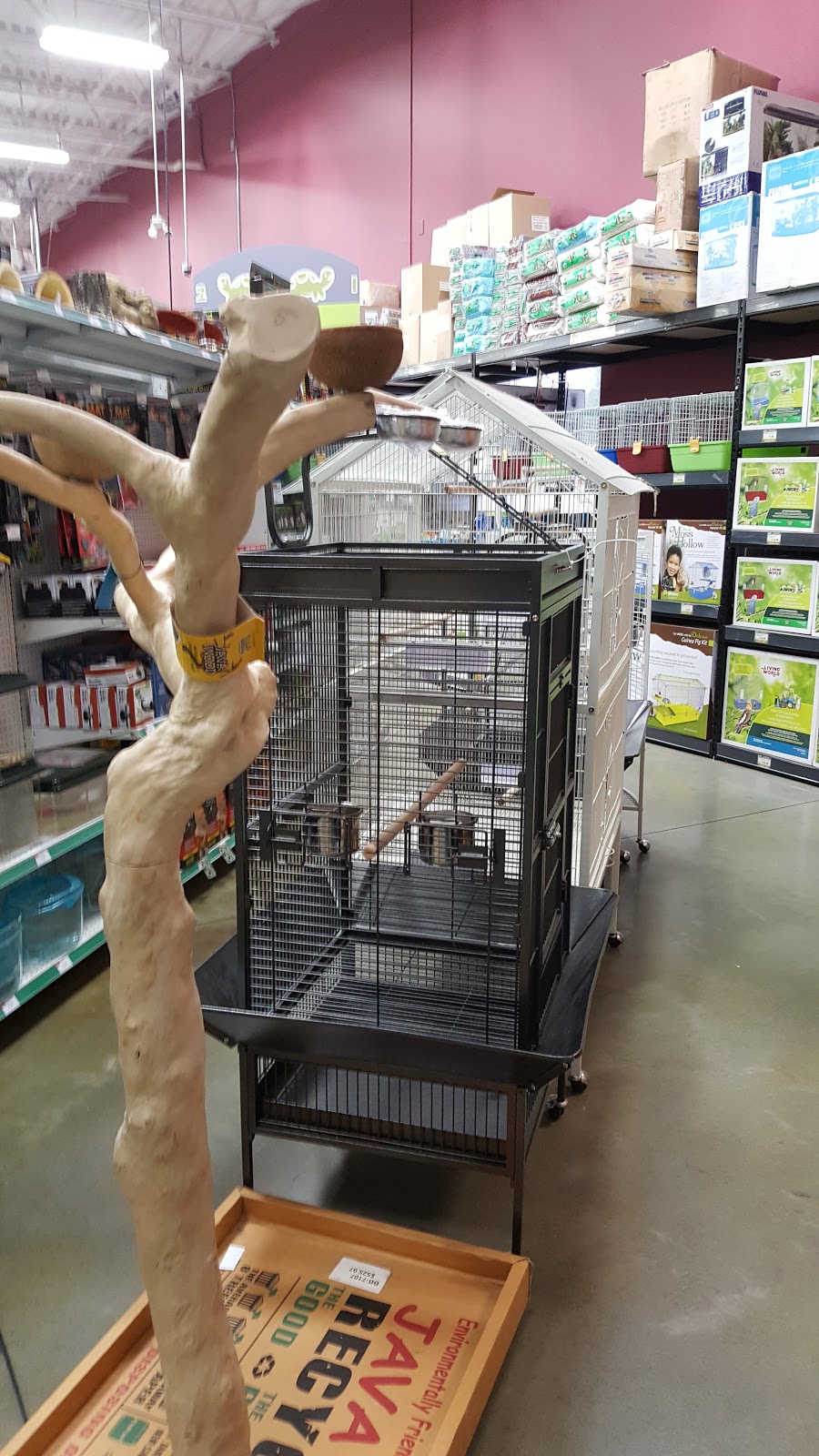 Petland - Grandview | 2215 160 St #10, Surrey, BC V3S 9N6, Canada | Phone: (604) 541-2329