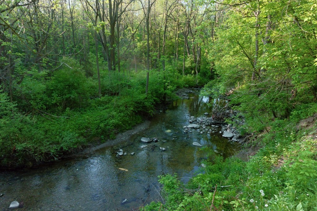 Derrydowns Park | 227 Derrydown Rd, North York, ON M3J 1S2, Canada | Phone: (416) 338-4386
