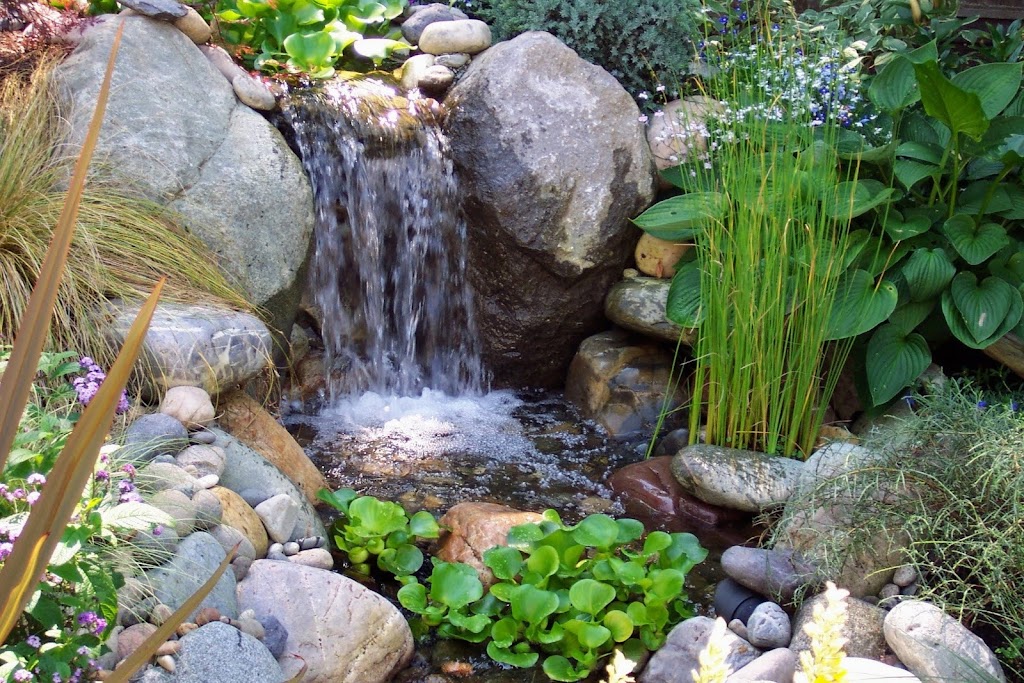 Superior Ponds & Landscaping | 5224 7a Ave, Delta, BC V4M 1R4, Canada | Phone: (604) 943-6070