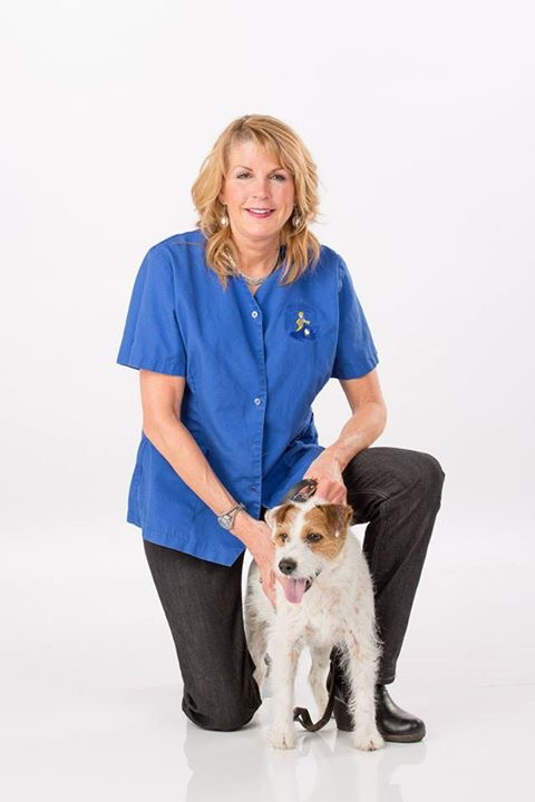 veterinaire a domicile Vetmobilis.com | 1312 Rue de Montarville, Saint-Bruno-de-Montarville, QC J3V 3T4, Canada | Phone: (514) 773-7007