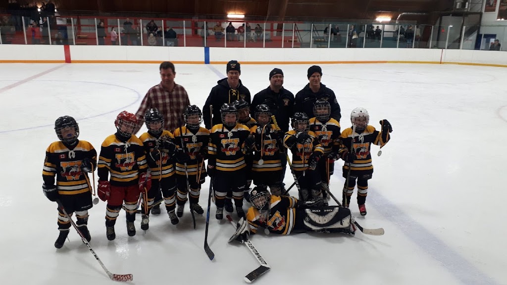 Langton & Area Arena | 30 Albert St, Langton, ON N0E 1G0, Canada | Phone: (519) 875-2709
