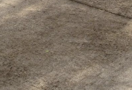 Coastal Pressure Washing | 12536 27 Ave, Surrey, BC V4A 2M7, Canada | Phone: (778) 907-5018