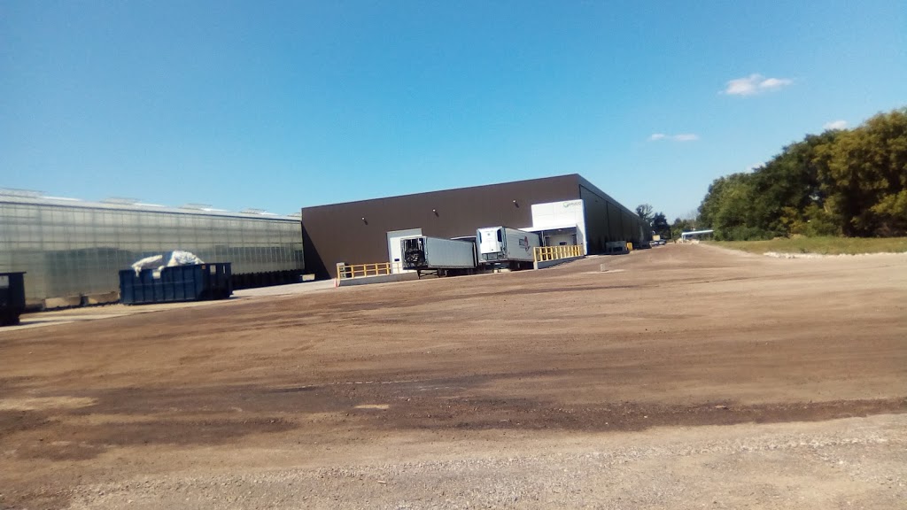Ontario Clean Water Agency | 1615 Union Ave, Kingsville, ON N9Y 2G5, Canada | Phone: (519) 326-4447