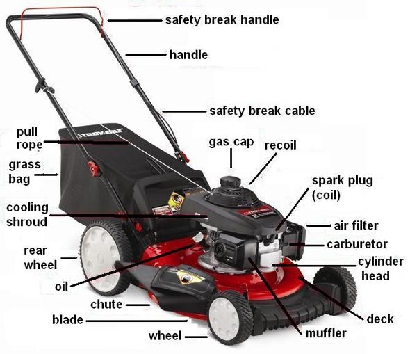 Towers Small Engines | 70 King St, Woodville, ON K0M 2T0, Canada | Phone: (705) 341-6052