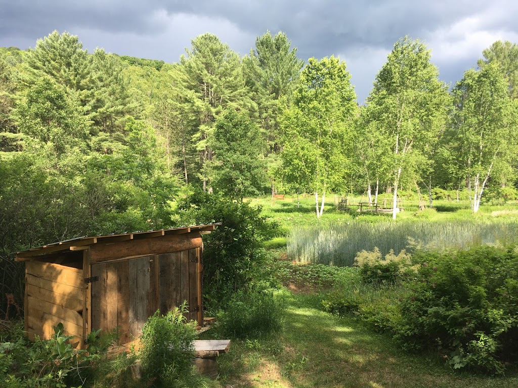 Jardin Cérès, fleuriste-producteur en champ | 2334 Chemin des Glaïeuls, La Conception, QC J0T 1M0, Canada | Phone: (819) 686-1134